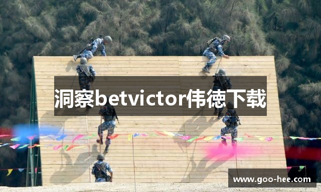 洞察betvictor伟徳下载